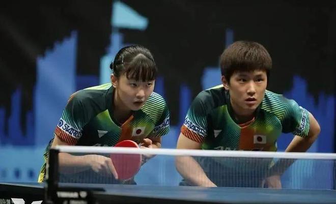 作为传统豪 作为传统豪